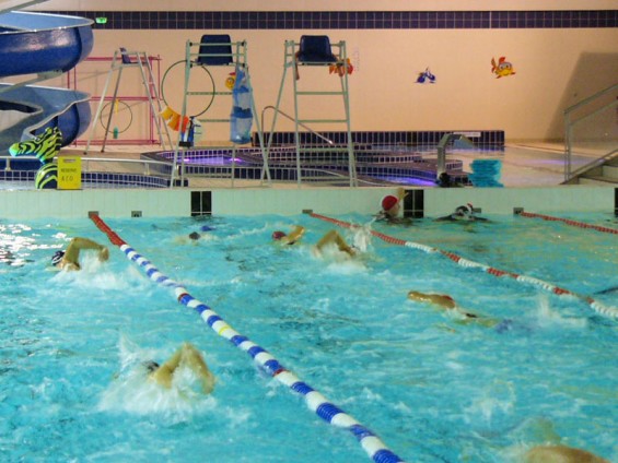 ACO club de natation